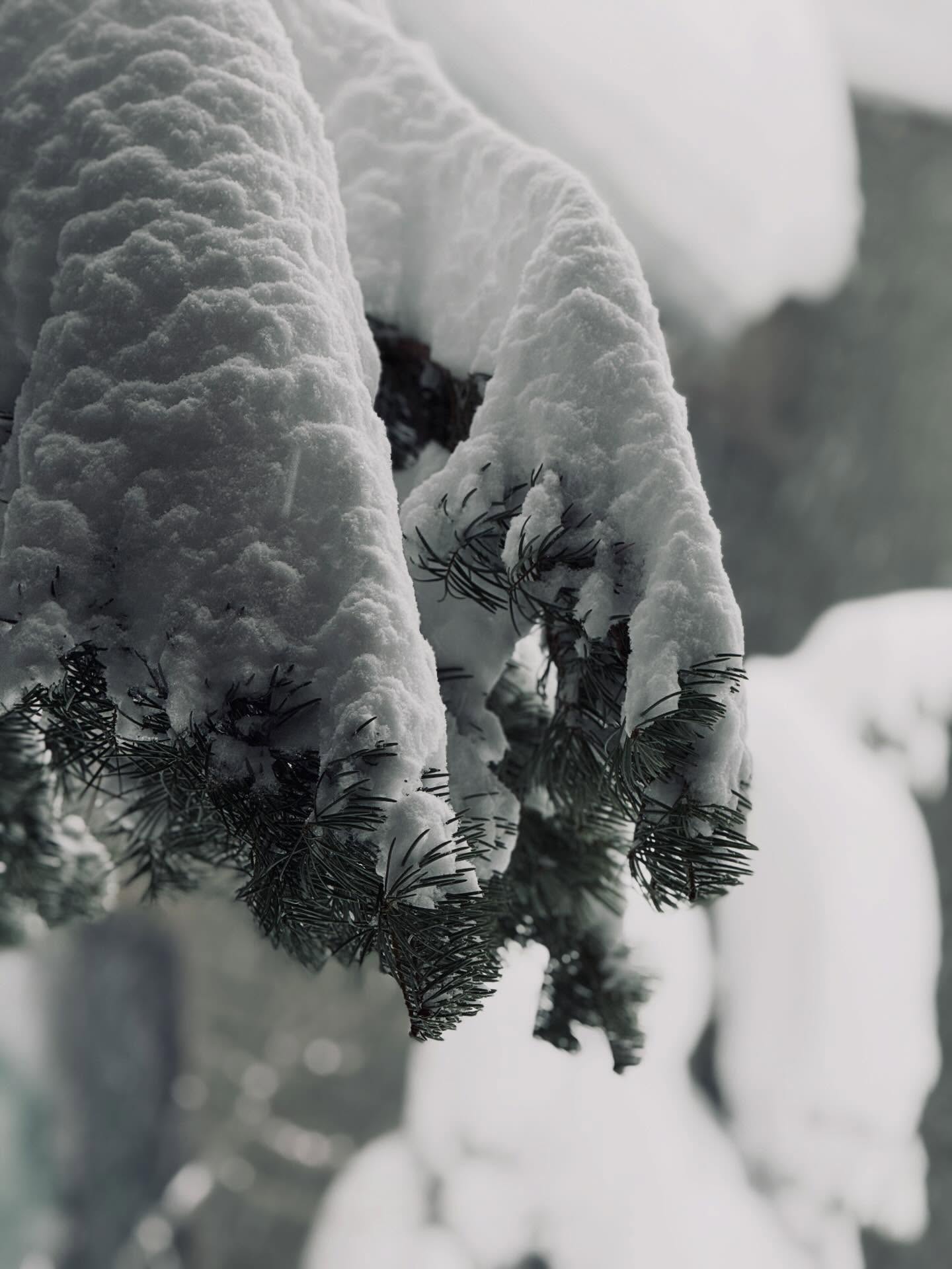 Snow